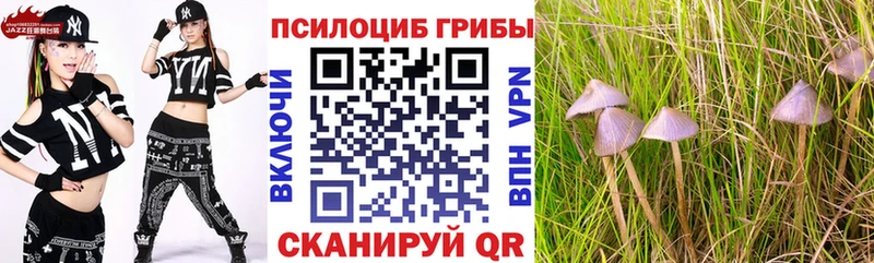 Галлюциногенные грибы ЛСД  hydra как зайти  Невельск 